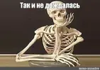 f4316f397f15db80ffdf346b1c5bf175.webp