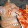 36b40cba7eb4042461437221da723441.webp