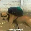 088a210eaa7c56158461281fa626cb20.webp