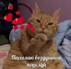 81c4f21bfdd2492c3a7713994a62d720.webp