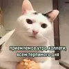 1713336810132418478.webp