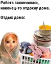 IMG_2737.webp