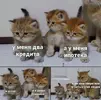 858b520b85a96a605636d16d3a47484f.jpg.webp