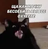 ec0cb9ce93de5cc68e64ab3753e1de14.webp