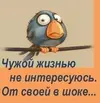 я1.webp