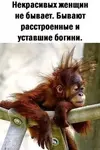 8df7bfd52bd758babe22a3038ae0777b.webp