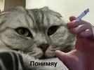 19744456304790321e2b373a24845a16.webp
