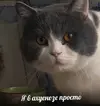 33df2955402e0c61cff711c479d0ab26.webp