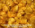 09f8b82064bac62ccbc8d1c3b9f615e7.webp
