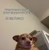 177c69c5cc851802a9ff6536fa0030ad.webp