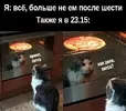 1000031229.webp