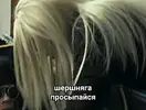 c22cdca84c8eb41ed55110b3330c9dbb.webp