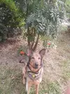 20250817_130228.webp