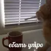 c0506d492834f96e9436933a95baf080.webp