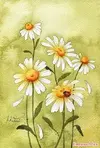 04b29b7c3f81fd61bbe708989adce89b (1).webp