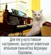 IMG_2964.webp