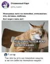 1000031230.webp