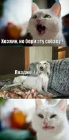 1000031228.webp