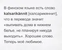1000031236.webp