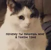 a8039a4b1d8621156327c0ae92ad810b.webp