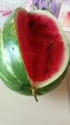 IMG-20250630-WA0009.webp