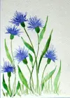 9fe4a74208cebd2a90bfb8650eacf414.webp