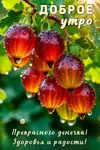 Изображение WhatsApp 2025-08-01 в 08.47.09_baae354d.webp