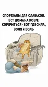 1f8590c6067e2d74b5354c0748fd3045.webp