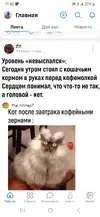 1000031256.webp