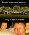 1000031255.webp