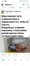 1000031258.webp