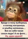 fa8f86a61479702807c381eea0ce93f7.webp