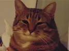 70c0f5e7c726eebb4b540b2699890221.webp