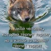 IMG_20250818_201948_959.webp