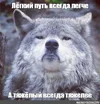 0bf7c46c15ae28d90d08a6907cf24c81.webp