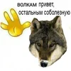 116afabf0cd20a15d89779da442c1cae.webp