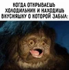 c2c71093b83e4d68f57e5f09135144e2.webp
