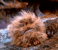 8446a822e69e93bd7f6fbf849facfc54.gif