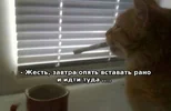721107c32b9aa2b80ee8093d19a58df9.webp