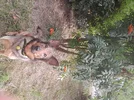 20250817_130222.webp