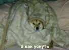 0af41fc7840c9df4167be35bec5b7088.webp
