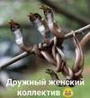 4104faf0569b41bb5eb86fbe2a388ad1.webp