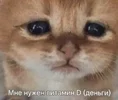 e9b3228c1e03e37793874363b873083b.webp