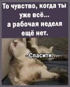 UID1008493_1661057884_96.webp