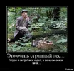 c74e03bd5b2f86bf6cf78040c1c0eb7e.webp