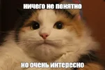 84ab1edafdee4233abe65735f831b7de.webp