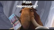 MM_diJrxAHzkzYVqwvCf4w.webp