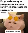 5a992fb41d8967831386cbf4e0a0867a.webp