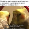 e8e74fe3727e042c9f5f0f8c903ecbd5.webp