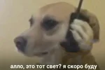 4278c41104e288b6002dd8ed2655a862.webp
